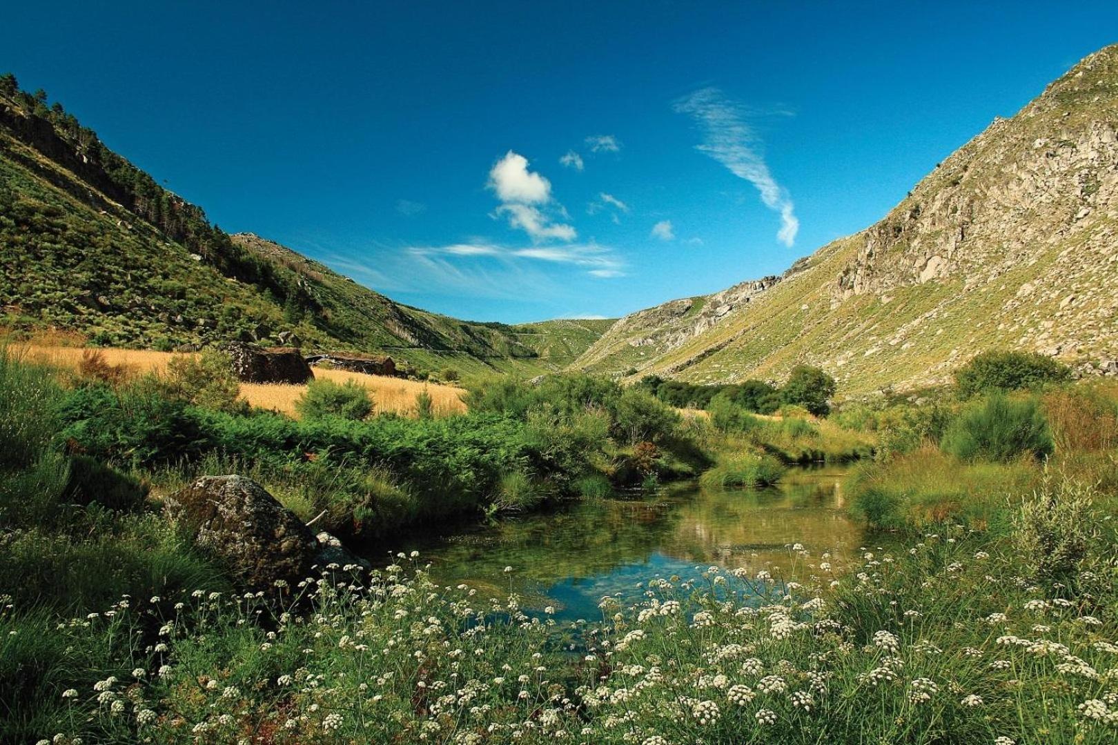 Quinta Da Estrela Villa Ponte Nova Dış mekan fotoğraf